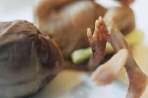 Aborto 20 semanas 03